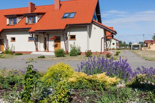 Imagen general del Domki Nautilus-Rowy. Foto 4