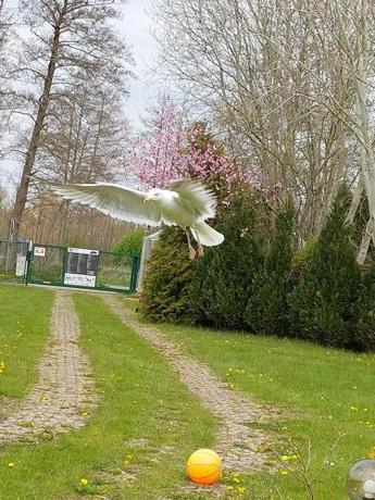 Imagen general del Domki Słoneczny Brzeg. Foto 5