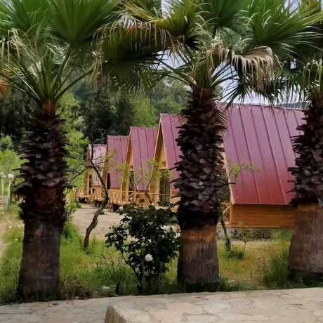 Imagen de la habitación del Donkisot Pansiyon. Foto 5