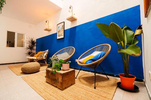 Imagen general del Do&ntilde;a Rose Surf Hostel. Foto 6