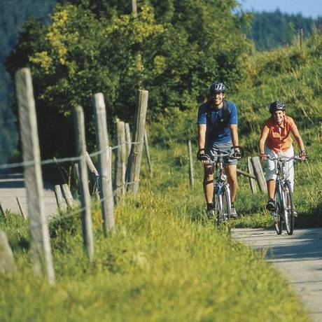 Imagen general del Dorfkrug Kaprun. Foto 29