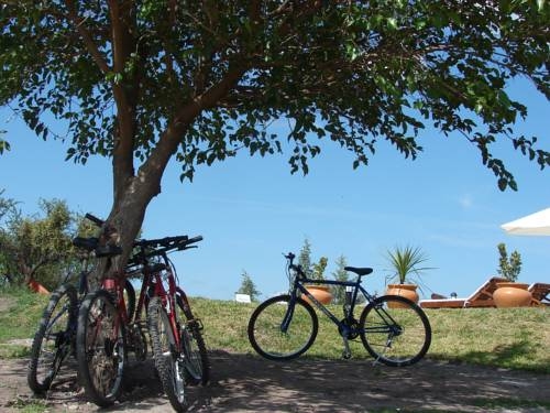 Imagen general del Dos Aguas. Foto 19