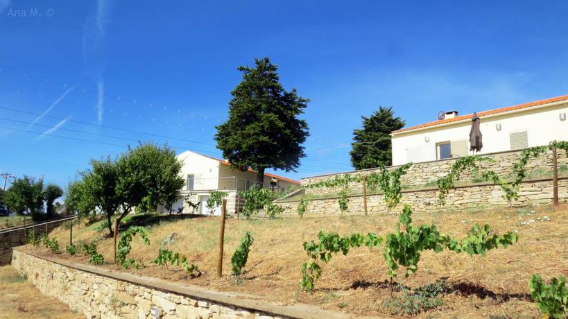 Imagen de los exteriores del Douro Natura. Foto 4