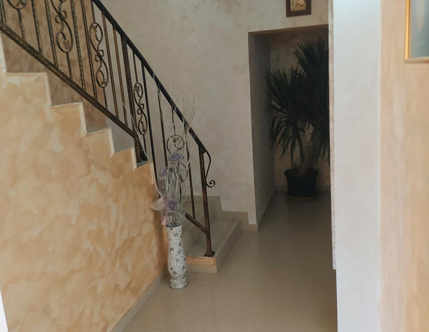 Imagen general del Dracena Guesthouse. Foto 25