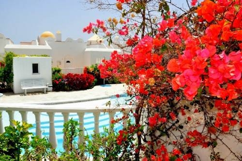 Imagen general del Dream House, Callao Salvaje. Foto 6