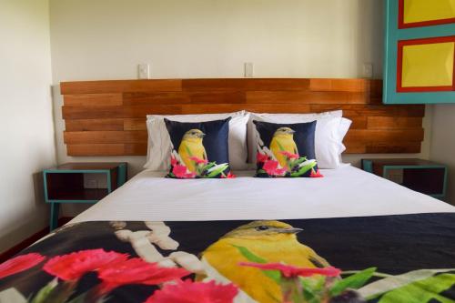 Imagen de la habitación del Dreamer Cocora. Foto 16