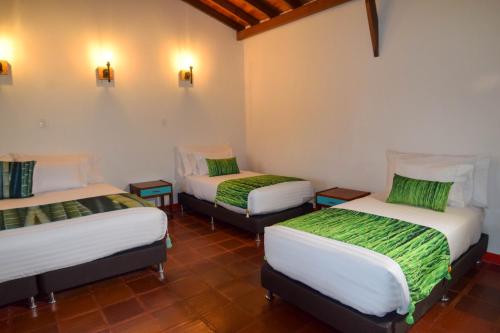 Imagen general del Dreamer Cocora. Foto 12