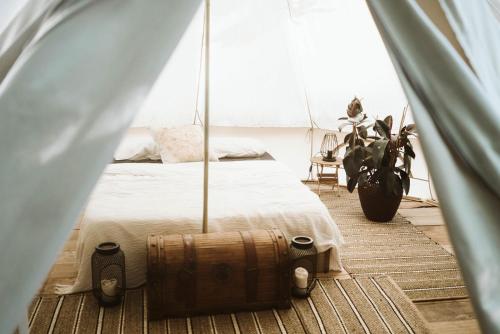 Imagen general del Dreamsea Mediterranean Camp. Foto 2