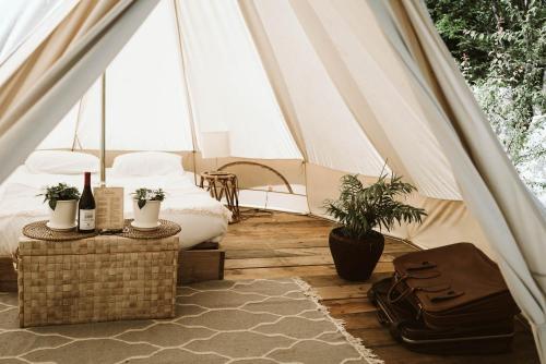 Imagen general del Dreamsea Mediterranean Camp. Foto 3