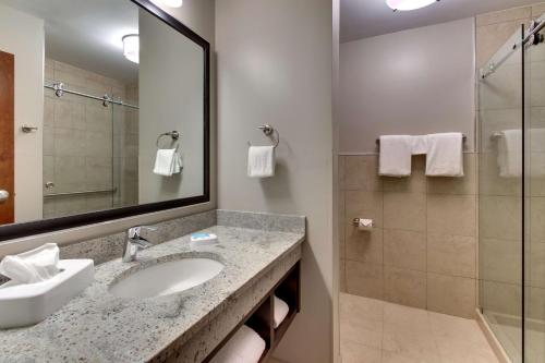 Imagen de la habitación del Drury Plaza Hotel Savannah. Foto 19