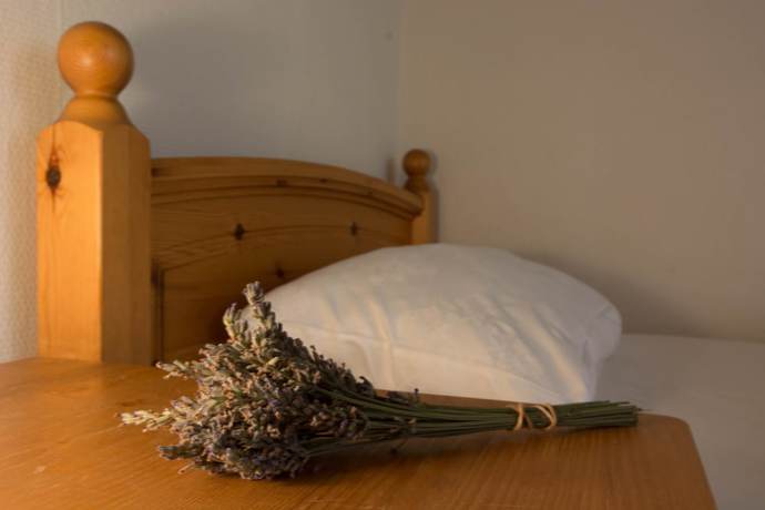 Imagen de la habitación del Duckys Restaurant Events Hotel. Foto 10