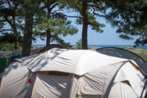 Imagen de la habitación del Dueodde Strand Camping. Foto 18