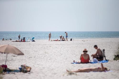Imagen general del Dueodde Strand Camping. Foto 2