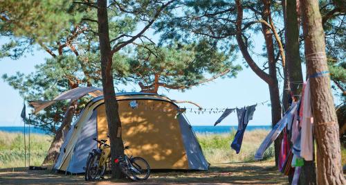 Imagen general del Dueodde Strand Camping. Foto 4