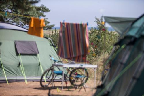 Imagen de la habitación del Dueodde Strand Camping. Foto 20