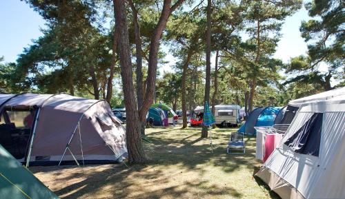 Imagen general del Dueodde Strand Camping. Foto 6