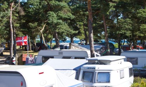 Imagen general del Dueodde Strand Camping. Foto 7