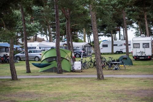 Imagen general del Dueodde Strand Camping. Foto 9