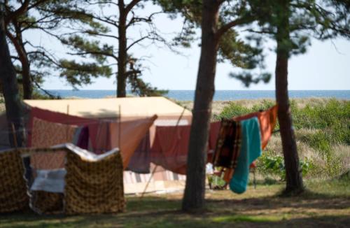 Imagen general del Dueodde Strand Camping. Foto 10