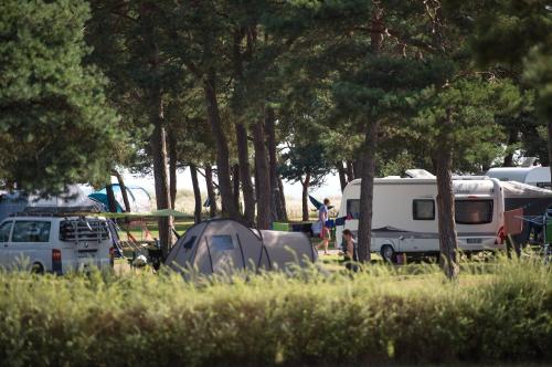 Imagen general del Dueodde Strand Camping. Foto 13