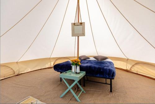 Imagen general del Duke Travel Official TT Glamping - Douglas. Foto 6