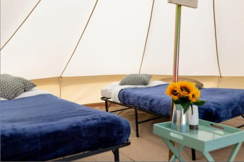 Imagen general del Duke Travel Official TT Glamping - Douglas. Foto 7