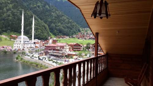 Imagen de la habitación del Dunya Residence, Uzung&ouml;l. Foto 2
