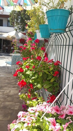 Imagen de los exteriores del Duru Butik Otel. Foto 22