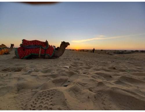 Imagen general del Dynamic Desert Camp, Kanoi, Jaisalmer. Foto 10