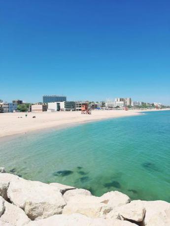 Imagen general del EFO Studios Private Beach. Foto 8