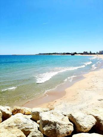 Imagen general del EFO Studios Private Beach. Foto 11