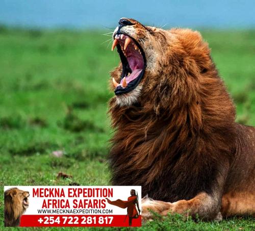 Imagen general del EMPIRIS HOTEL Narok. Foto 4