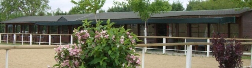 Imagen general del ERKANLI COUNTRY Resort , Spa and Riding Club - Special Class. Foto 14