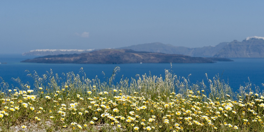 Imagen de los exteriores del Earino Suites and Villas. Foto 16