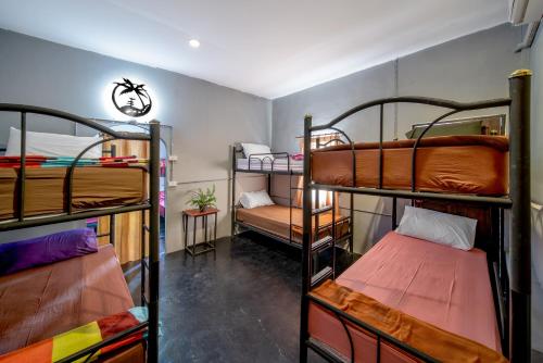 Imagen de la habitación del Eclipse Hostel and Bar. Foto 11
