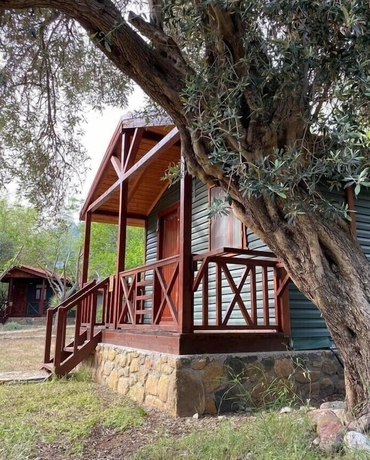 Imagen de la habitación del Eden Bungalows and Beach. Foto 16