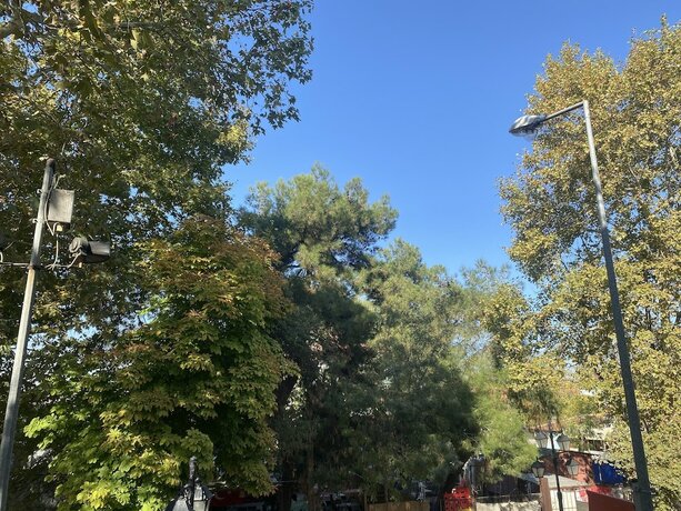 Imagen general del Edirne Adres Karaağa&ccedil;. Foto 9