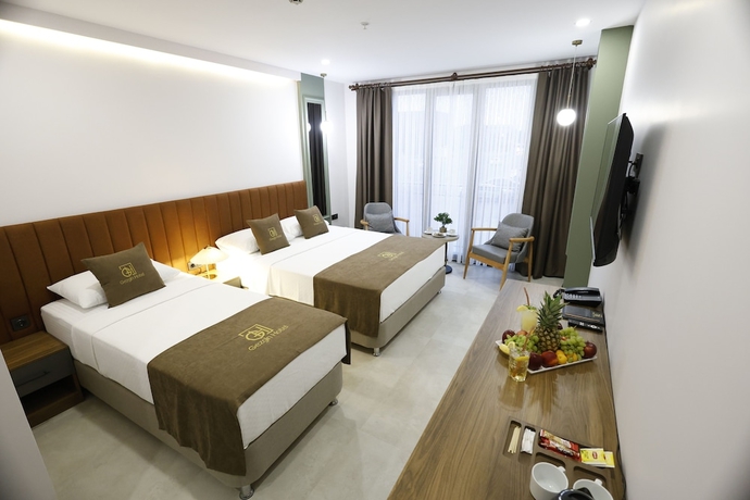 Imagen de la habitación del Edirne Gezgin Hotel. Foto 5