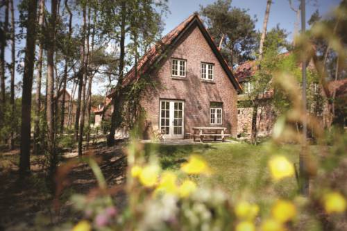 Imagen de la habitación del Efteling Bosrijk. Foto 8