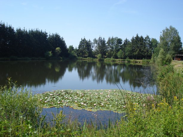 Imagen de los exteriores del Eifel Hotel Lamberty. Foto 8