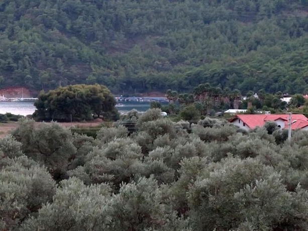 Imagen de la habitación del Ekincik Sayfiye Butik Otel. Foto 11