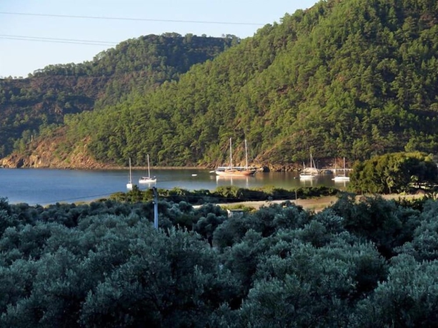 Imagen de la habitación del Ekincik Sayfiye Butik Otel. Foto 15