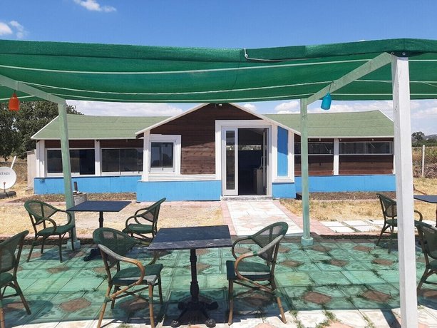 Imagen de la habitación del Ekom Cafe Pansiyon. Foto 10
