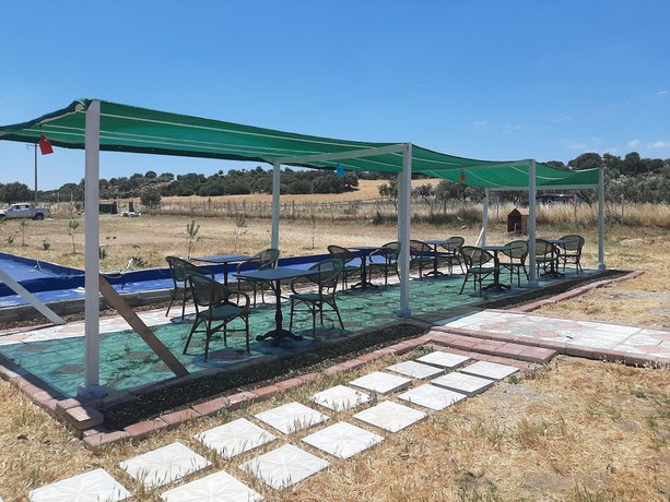 Imagen de la habitación del Ekom Cafe Pansiyon. Foto 15