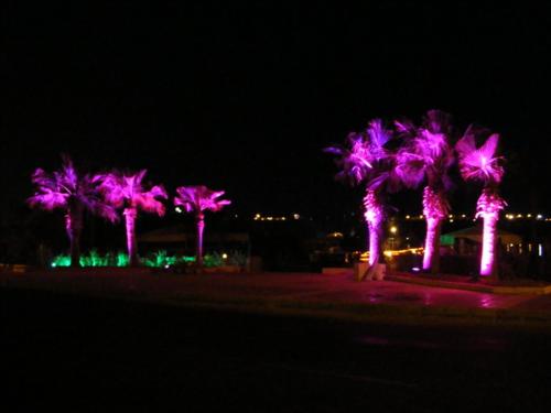 Imagen general del El Kheima Beach Resort. Foto 17