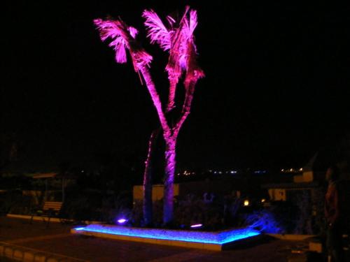 Imagen de la habitación del El Kheima Beach Resort. Foto 20
