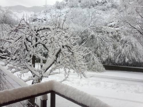 Imagen general del El Molino de Rosa María Serrano. Foto 4