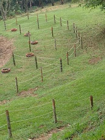 Imagen general del El Vergel Guaduas. Foto 4