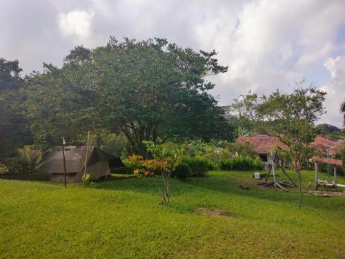 Imagen general del El Vergel Guaduas. Foto 5