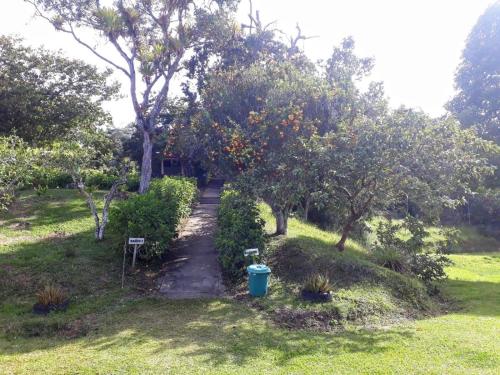 Imagen general del El Vergel Guaduas. Foto 9